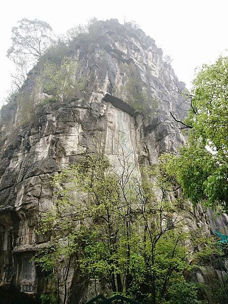 DSC_8509_mh1492695047222.JPG