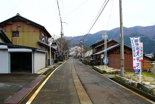 騎著單車出發去