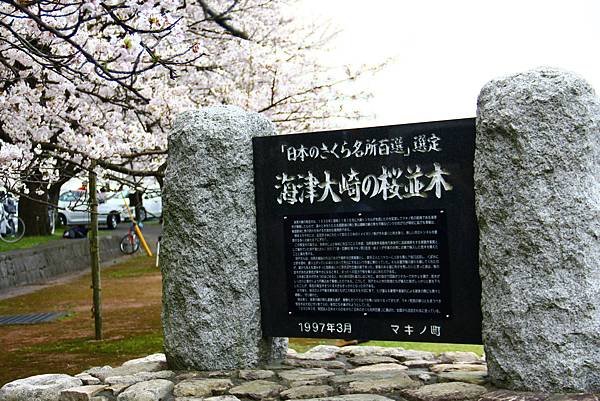 海津大崎