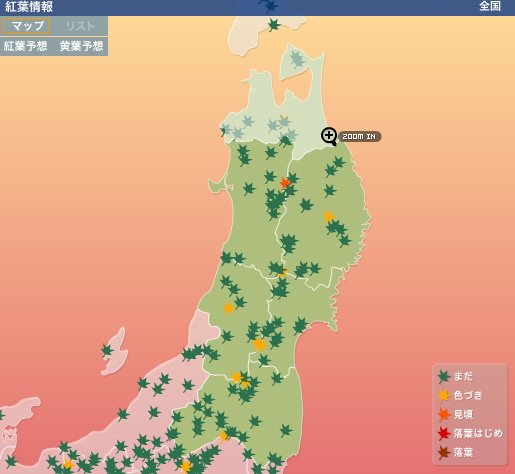 紅葉2