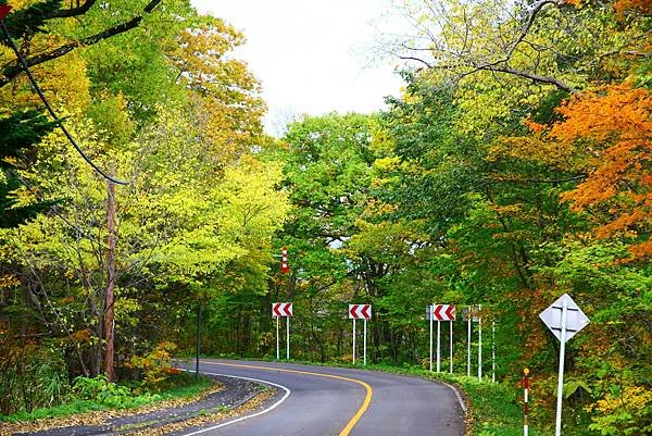 大沼公園環湖公路