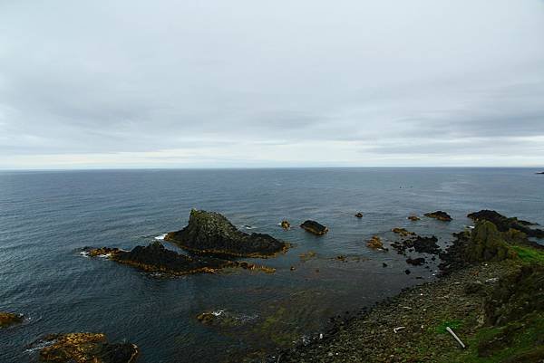 IMG_0933.JPG