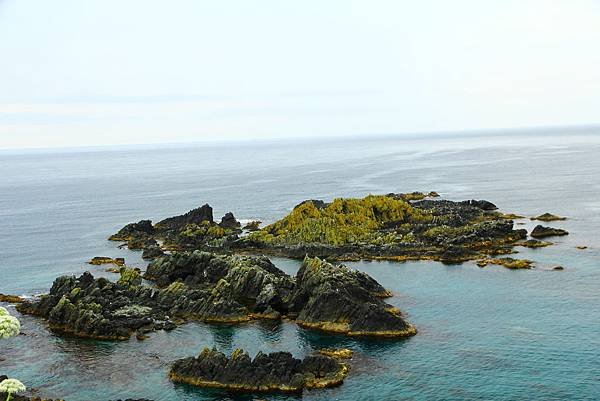 IMG_1070.JPG