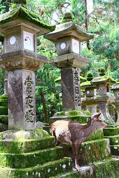 春日大社
