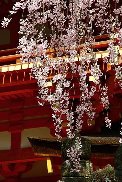 春日大社