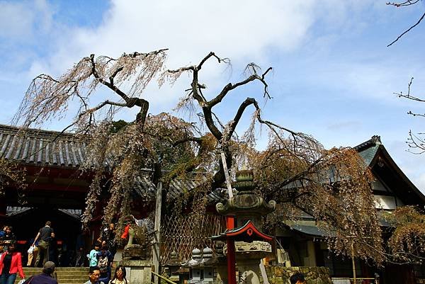 冰室神社