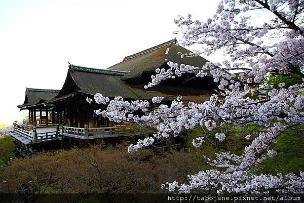 4/6 清水寺