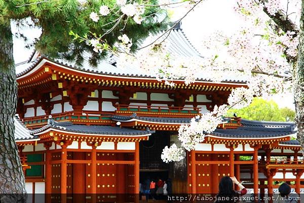 4/6 平等院