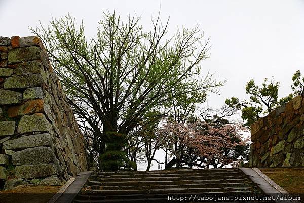 4/7 烏城公園