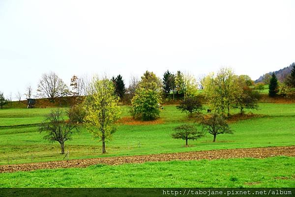 10/24 Boll, Hechingen
