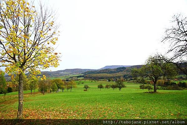 10/24 Boll, Hechingen