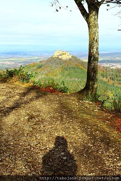 10/24 Zeller Horn