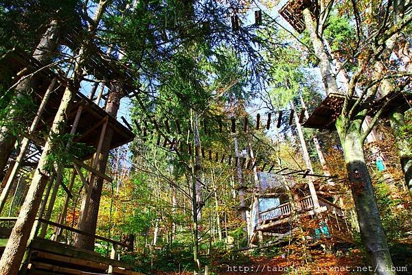 10/26 Hochseilgarten Triberg