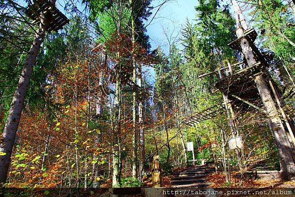 10/26 Hochseilgarten Triberg