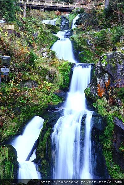 10/26 Triberger Wasserfälle