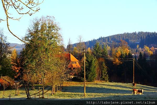 10/30 Gäste- und Ferienhaus Baur