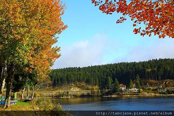 10/30 Schluchsee