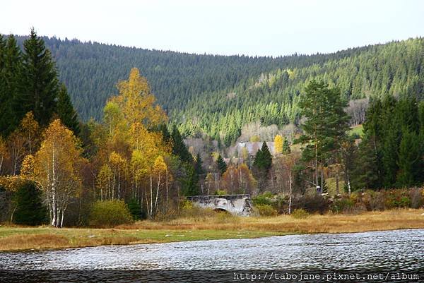 10/30 Schluchsee