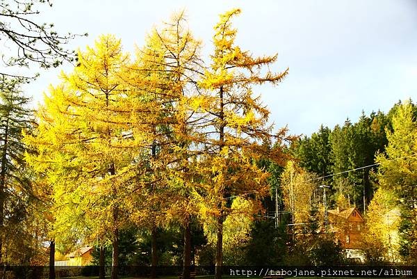 10/30 Schluchsee