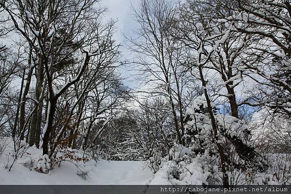 1/29 大沼公園