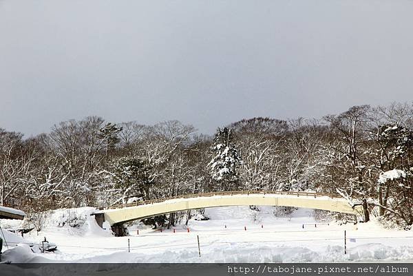 1/29 大沼公園