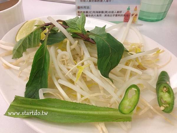 Startdo_越菀13