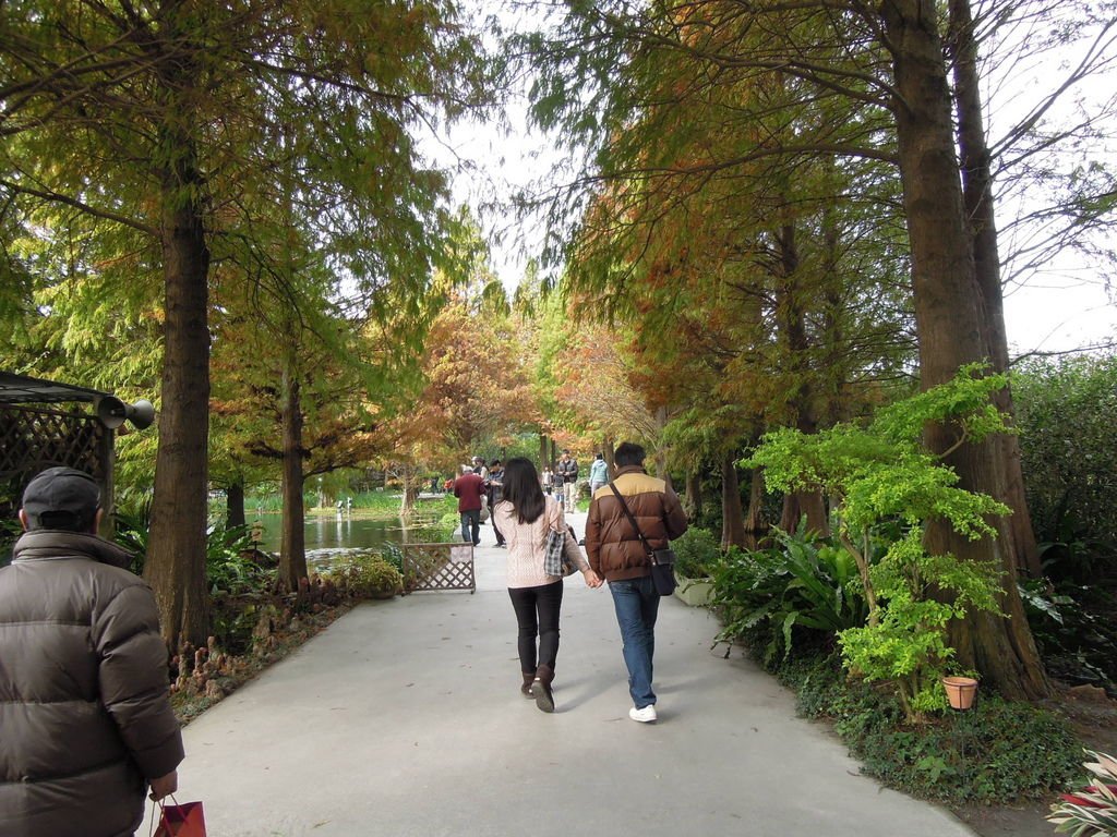 田尾青芳園休閒農場
