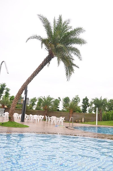 DSC_1775.JPG
