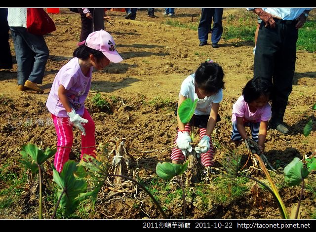 2011烈嶼芋頭節_15.jpg