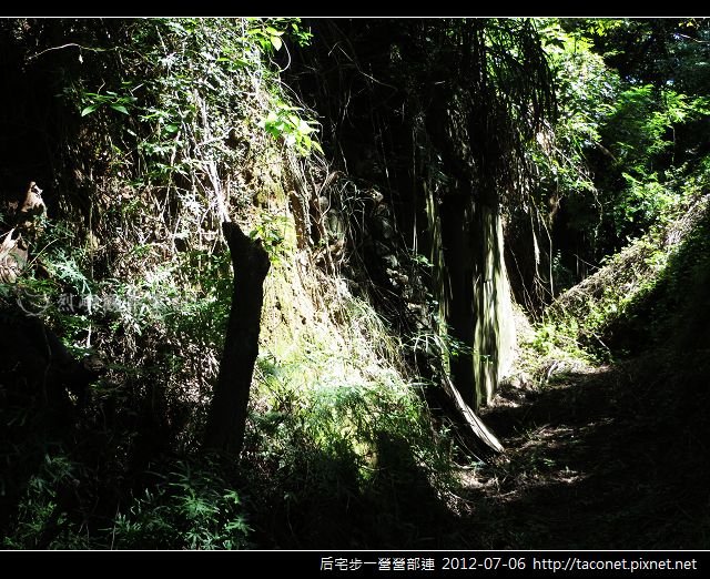 后宅步一營營部連_62