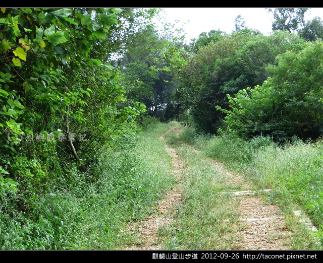 麒麟山登山步道 _05