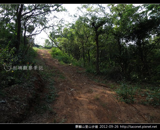 麒麟山登山步道 _21