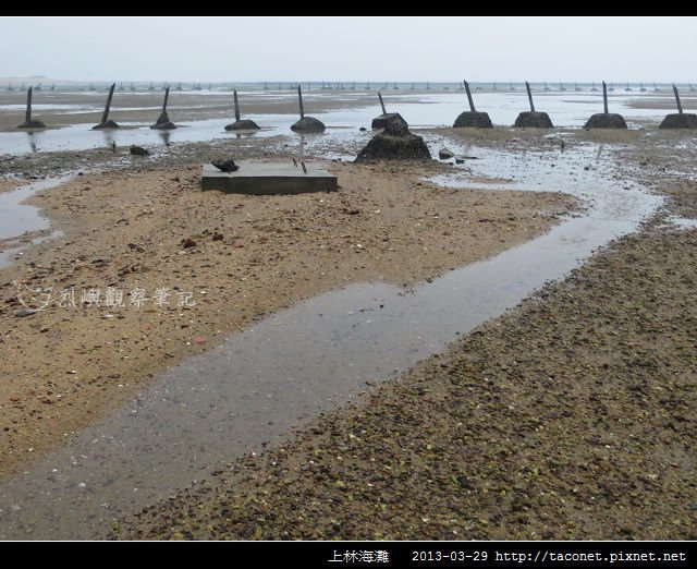 上林海灘_02