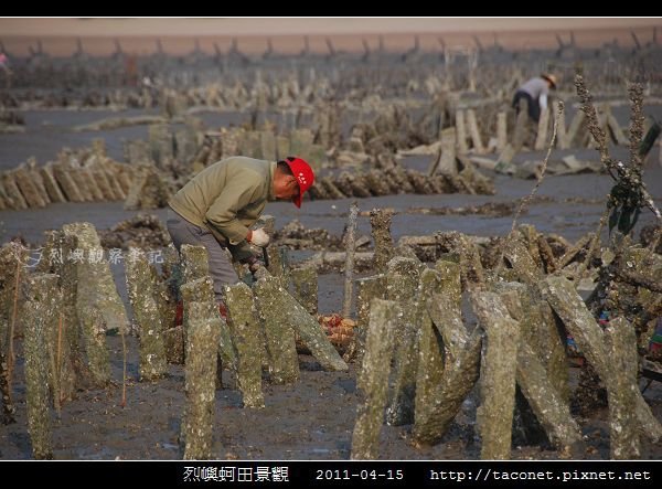 烈嶼蚵田景觀_03.jpg