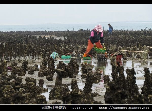 烈嶼蚵田景觀_07.jpg