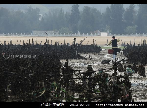 烈嶼蚵田景觀_09.jpg