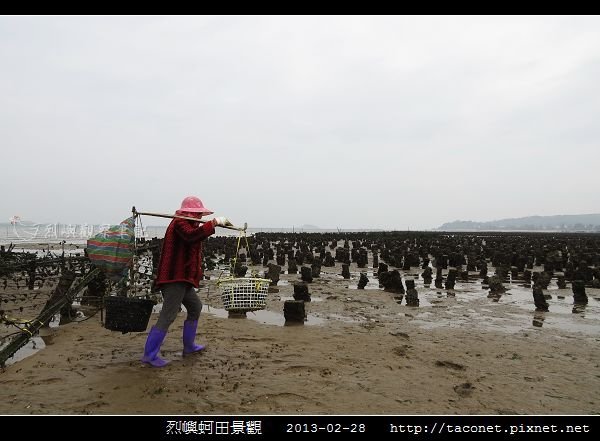 烈嶼蚵田景觀_11.jpg