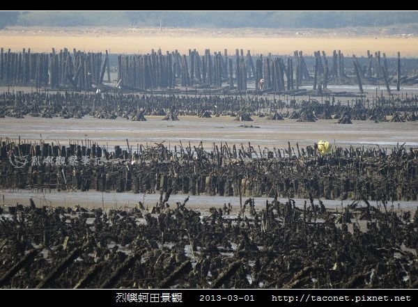 烈嶼蚵田景觀_12.jpg