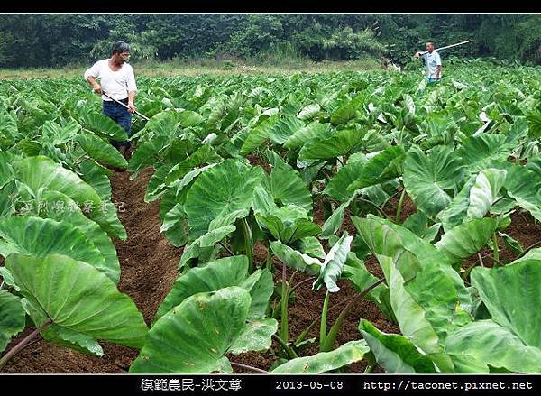 模範農民-洪文尊_01.jpg