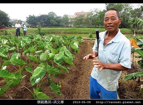 模範農民-洪文尊_04.jpg