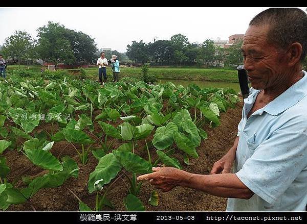 模範農民-洪文尊_05.jpg