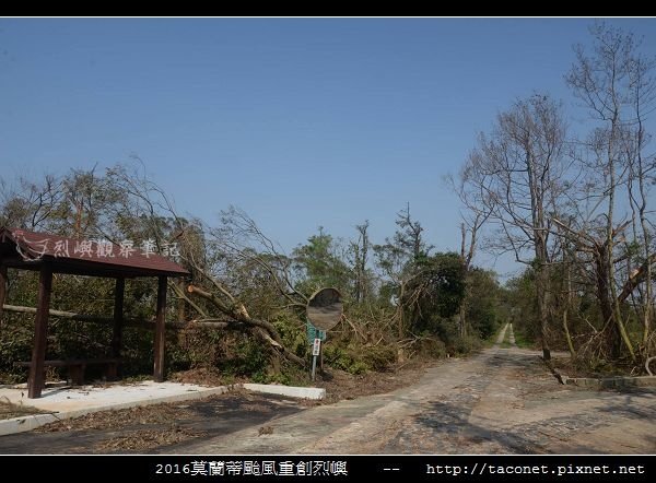 2016莫蘭蒂颱風肆虐後的烈嶼_054.jpg