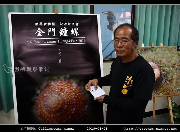 金門鐘螺 Calliostoma hungi _12.jpg