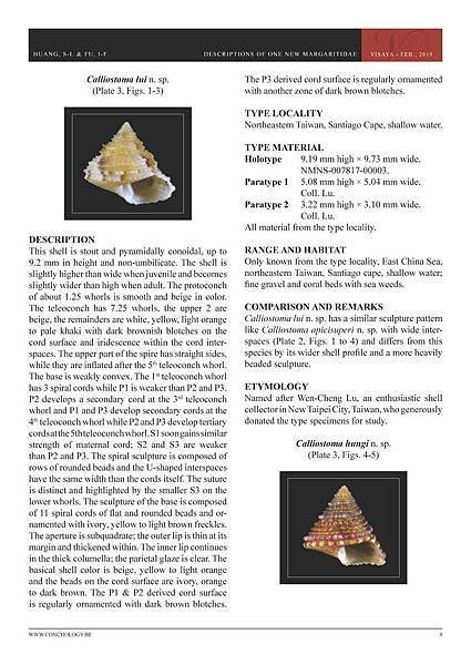 01- Huang &amp; Fu- Margaritidae and Calliostomatidae_頁面_05.jpg