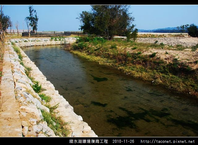 陵水湖環境復育_30.jpg