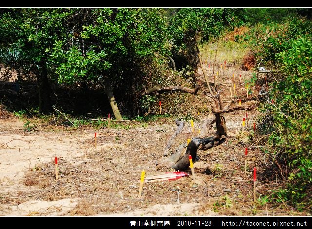 貴山南側雷區_14.jpg