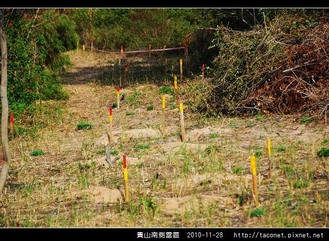 貴山南側雷區_19.jpg