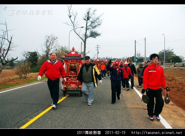 2011青岐割香_05.jpg