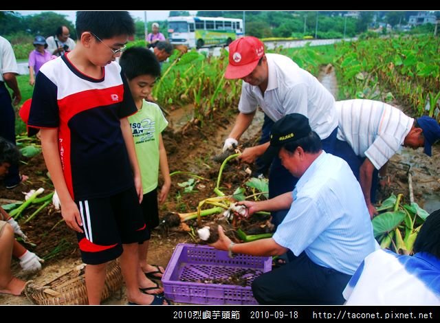 2010烈嶼芋頭節_03.jpg