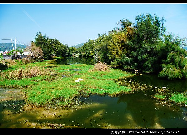 東崗沙岸_20